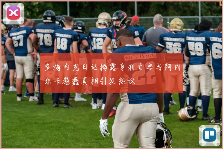 多梅内克日记揭露亨利自恋与阿内尔卡愚蠢真相引发热议